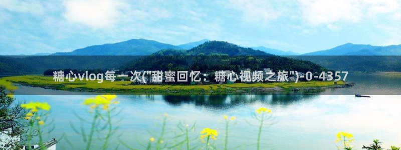 糖心vlog资源分享