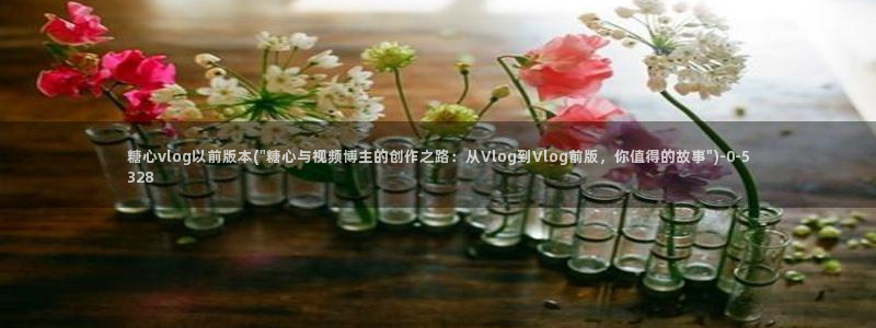 糖心vlog免费网站