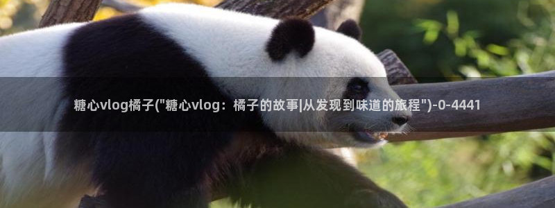 糖心vlog可靠吗