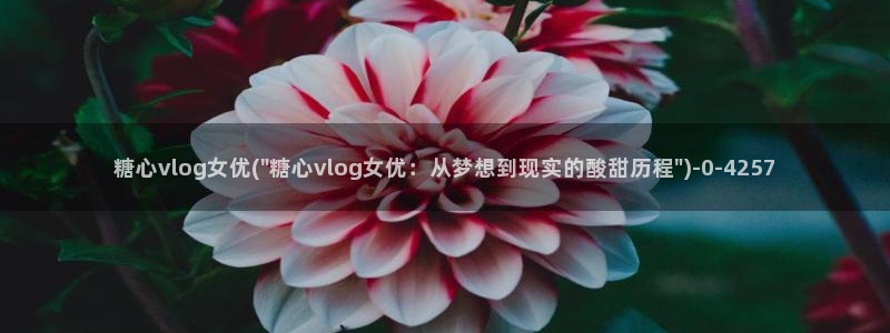 多己糖心在线vlog