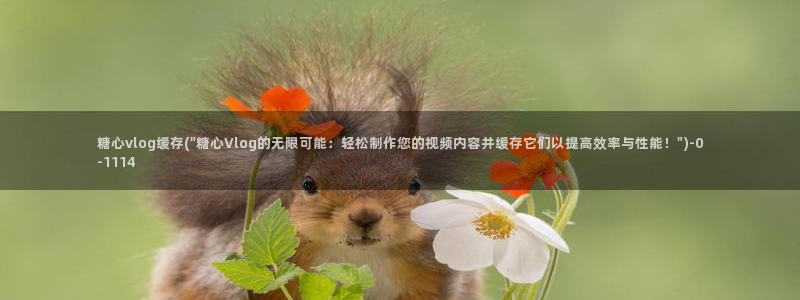 糖心vlog包子视频