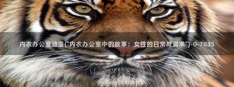 完美世界动漫