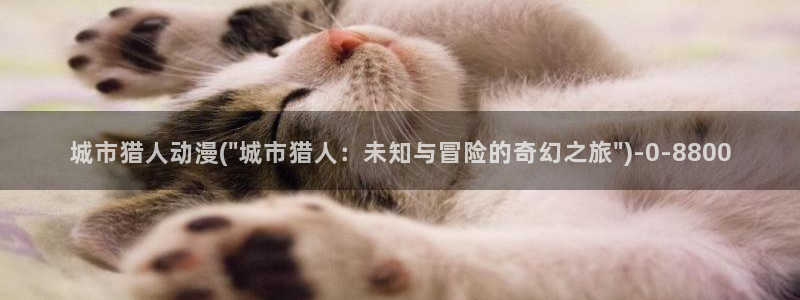 动漫小说