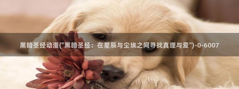 乳母动漫：黑暗圣经动漫(\