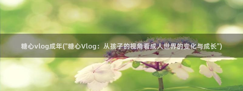 都源于糖心vlog：糖心vlog成年(\