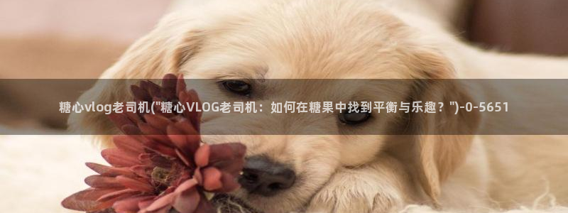 糖心vlog在线资源：糖心vlog老司机(\